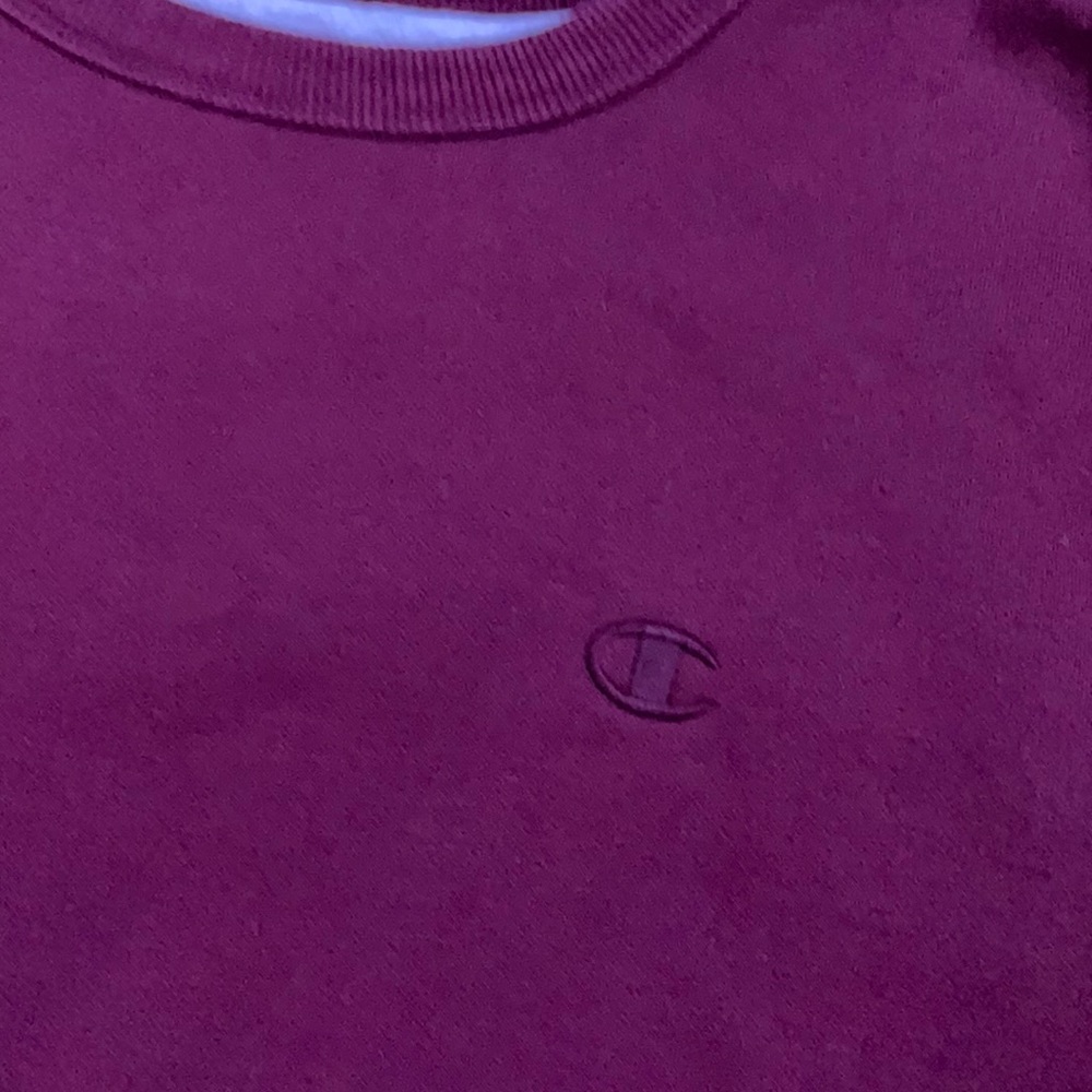 Champion sweater